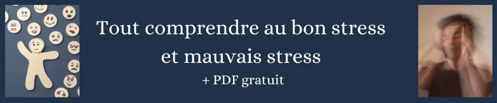 Guide pratique pour tout comprendre au bon stress et au mauvais stress [+PDF]