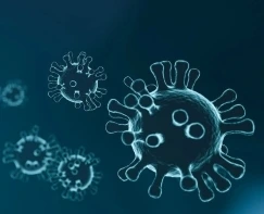 immunité